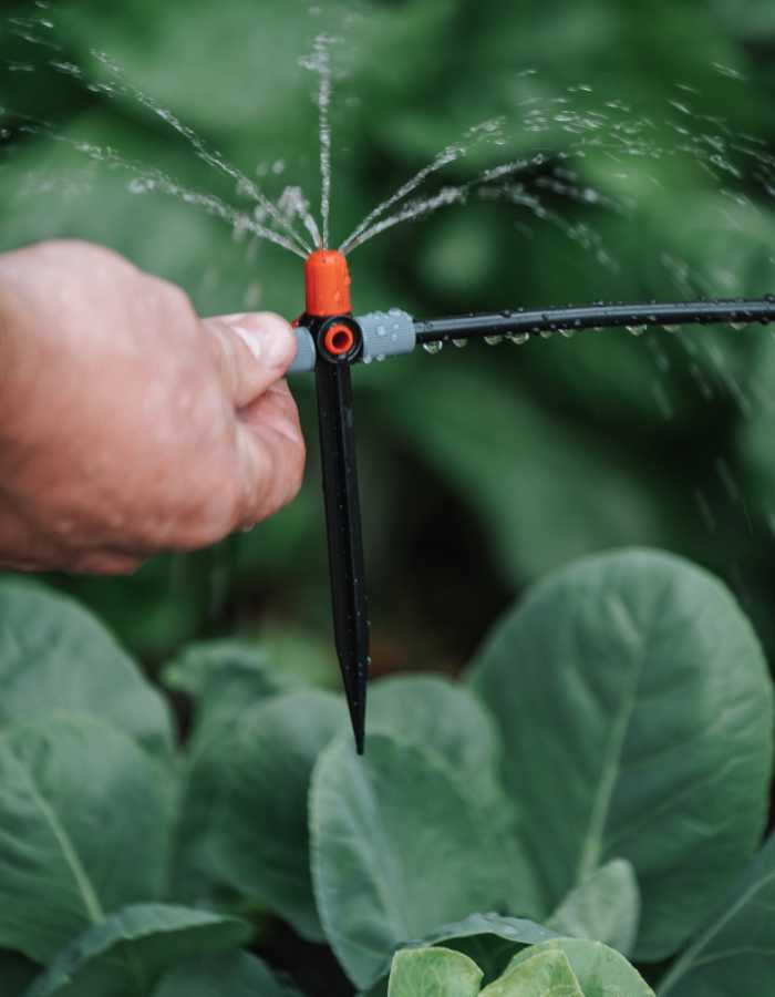 Inspecciona el sistema de riego para un riego eficaz